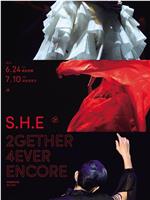 S.H.E 2GETHER 4EVER 演唱会在线观看和下载