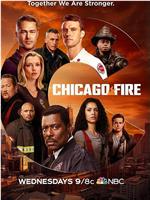 芝加哥烈焰 第九季在线观看和下载