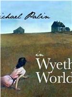 Michael Palin in Wyeth's World在线观看和下载