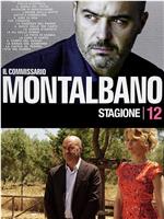 蒙塔巴诺督查 第12季 Inspector Montalbano Season 12 Season 12在线观看和下载