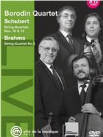 鲍罗丁四重奏演奏舒伯特和勃拉姆斯在线观看和下载