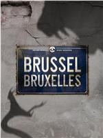 Brussel Season 1在线观看和下载