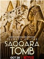 塞加拉陵墓揭秘在线观看和下载