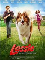 Lassie-冒险之旅在线观看和下载