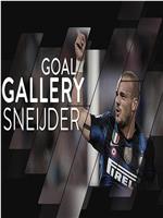 Wesley Sneijder: All Of His 22 Inter Goals在线观看和下载
