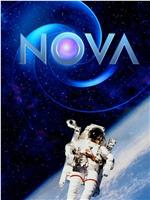 Nova Season 45在线观看和下载
