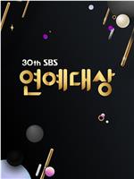 2020 SBS 演艺大赏在线观看和下载