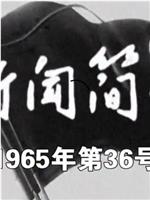 新闻简报1965年第36号在线观看和下载