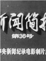 新闻简报1973年第36号在线观看和下载