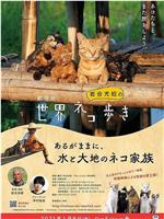 剧场版 岩合光昭的猫步走世界 第2弹在线观看和下载