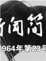 新闻简报1964年第23号在线观看和下载