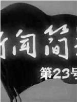 新闻简报1965年第23号在线观看和下载