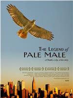 The Legend of Pale Male在线观看和下载