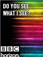 BBC 地平线系列: 你看到我所见了么在线观看和下载