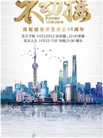 不动摇——庆祝浦东开发开放30周年在线观看和下载