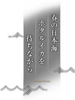 纪实72小时 春天的日本海 等待荧光乌贼在线观看和下载