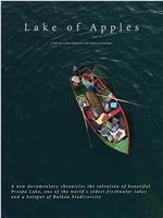 苹果之湖在线观看和下载