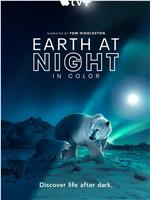 夜色中的地球 第二季在线观看和下载
