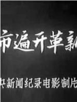 沙市遍开革新花在线观看和下载