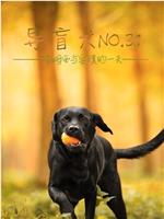 导盲犬No.31在线观看和下载