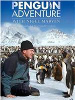 Penguin Week with Nigel Marven在线观看和下载
