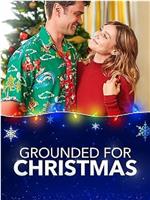 Grounded for Christmas在线观看和下载