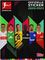 德甲联赛20/21赛季在线观看和下载