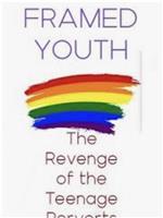 Framed Youth: The Revenge of the Teenage Perverts在线观看和下载