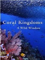 珊瑚王国在线观看和下载