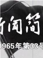 新闻简报1965年第33号在线观看和下载