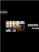 偶像的黄昏：西方学者看民主在线观看和下载