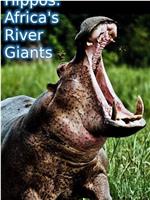 河马：非洲河流巨兽在线观看和下载