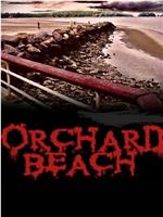 Orchard Beach在线观看和下载