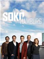 SOKO Hamburg Season 1在线观看和下载