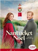 Nantucket Noel在线观看和下载