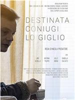 Destinata coniugi Lo Giglio在线观看和下载