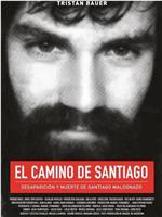 El Camino de Santiago在线观看和下载