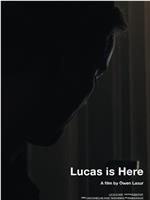Lucas Is Here在线观看和下载