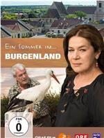 Ein Sommer im Burgenland在线观看和下载