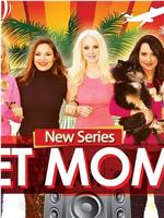 Pet Moms Season 1在线观看和下载