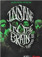 Cypress Hill: Insane in the Brain在线观看和下载