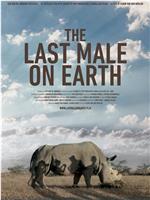 苏丹：最后的雄性犀牛在线观看和下载