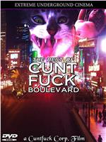 The Best of Cunt Fuck Boulevard在线观看和下载