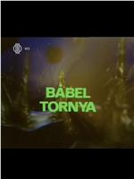 Bábel tornya在线观看和下载