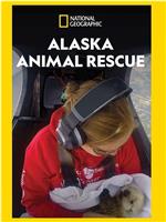 阿拉斯加野生动物救援 第一季在线观看和下载