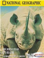 国家地理百年纪念典藏37：犀牛的哀歌在线观看和下载