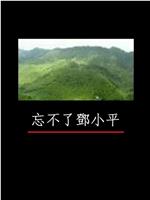 凤凰大视野：忘不了邓小平在线观看和下载