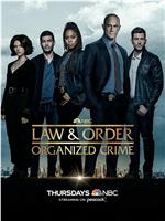 法律与秩序：组织犯罪 第三季在线观看和下载