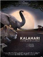 Kalahari, l'autre loi de la jungle Season 1在线观看和下载