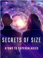 Secrets of Size: Atoms to Supergalaxies Season 1在线观看和下载